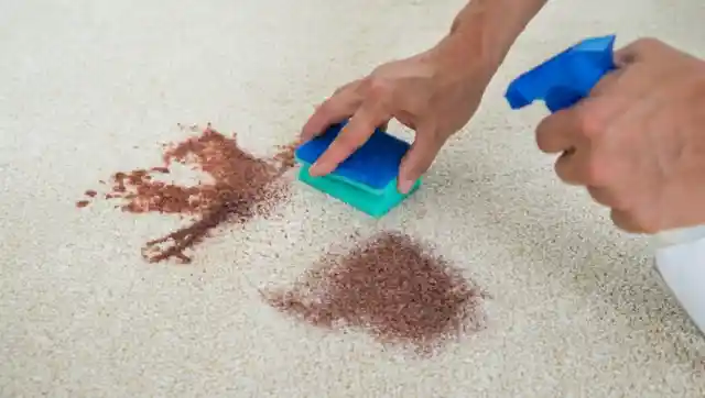 11. Carpet Stain Removal
