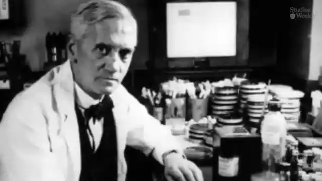 The Dirty Dish Miracle of Alexander Fleming