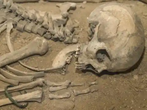 Ancient Human Remains