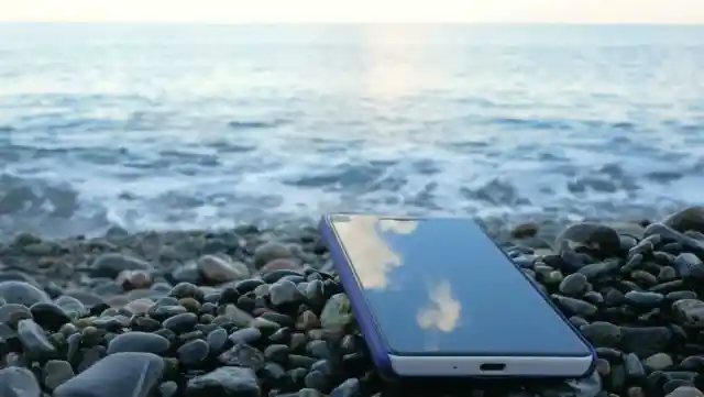 When This Woman&#8217;s Phone Fell Into The Ocean, A Creature Came To The Surface