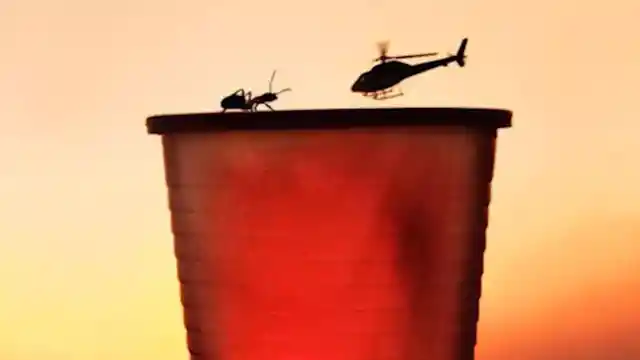 Ant Vs. Helicopter