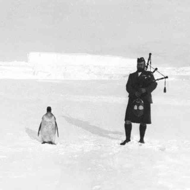 Gilbert Kerr, a member of the Scottish National Antarctic Expedition, plays the bagpipes in full Highland dress for a penguin while the Scotia was stuck in the ice on the Weddell Sea in 1904.
