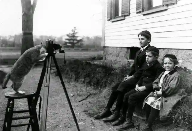 The cat that thought it was a photographer back in 1909.&nbsp;