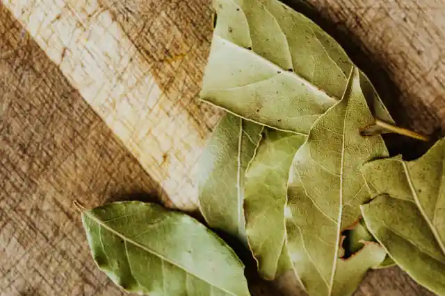 Bay Leaves&nbsp;