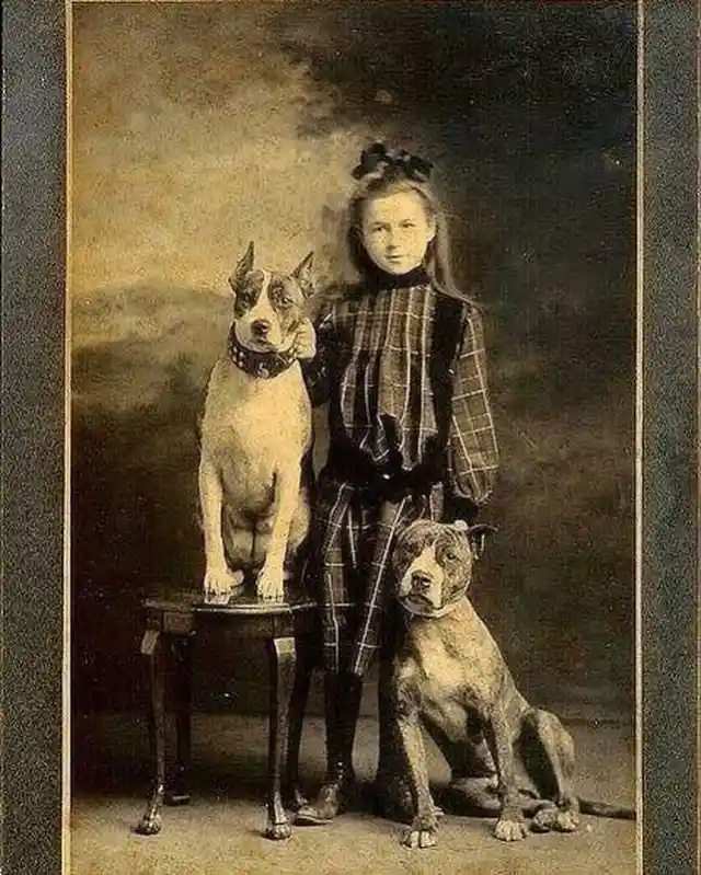 In the 1800s, pit bulls were often called "Nanny Dogs" because of the protective behavior they exhibit around children