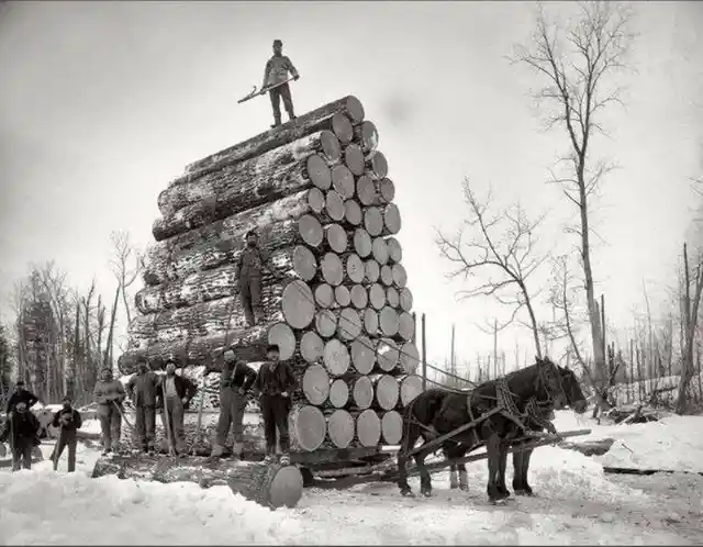 Transporting logs in Northern Michigan, 1908.
