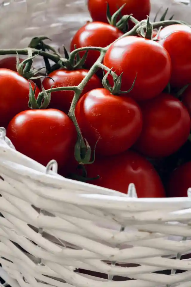 Tomatoes