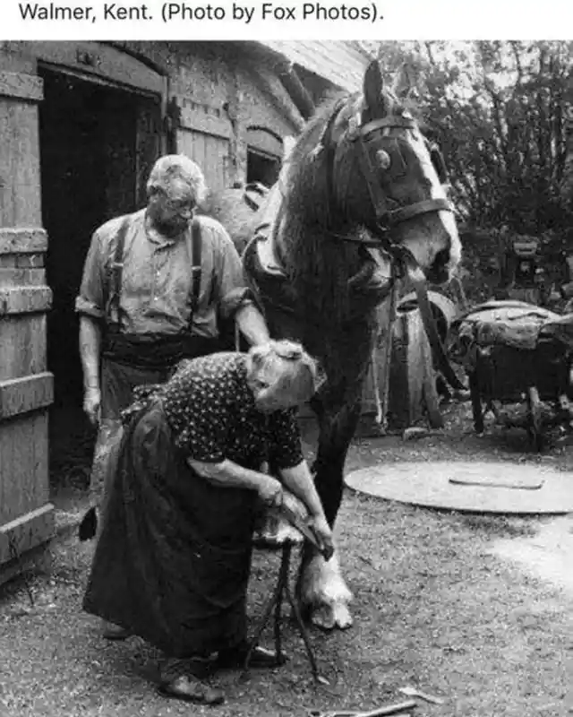 A 70 year-old Elizabeth Arnold, believed to be England's only female blacksmith, shoes a horse outside of a 400 year-old forge in Kent. (1938)