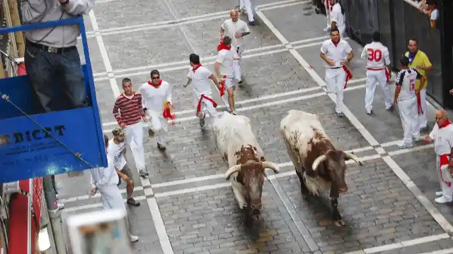 Bull Run, Spain