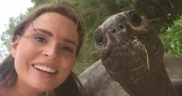 Tortoise selfie!