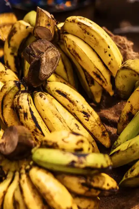 Bananas