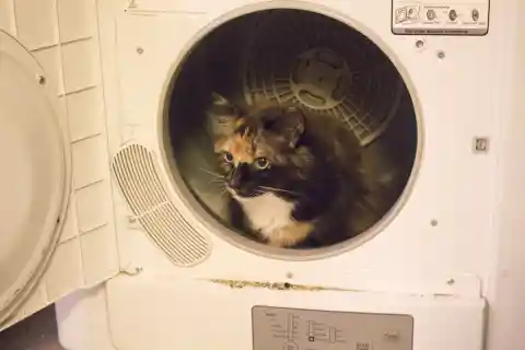  Why Did She Choose a Washing Machine?