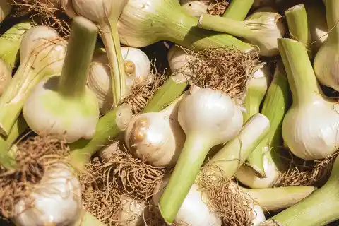 
Garlic
