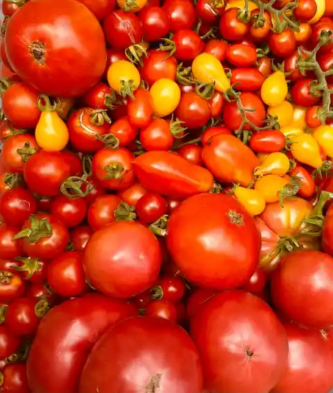 La Tomatina, Bunol, Spain