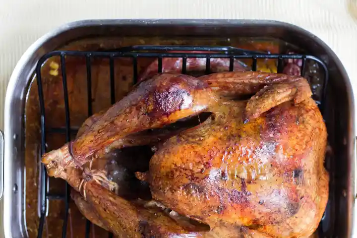 Turkey Triumph: 10 Mouth-Watering Ways to Master Your Thanksgiving Bird