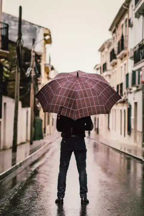 Umbrella