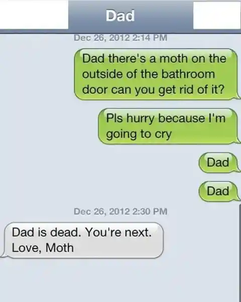 Moth Mayhem