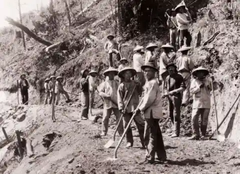 A History of Cheap Labor