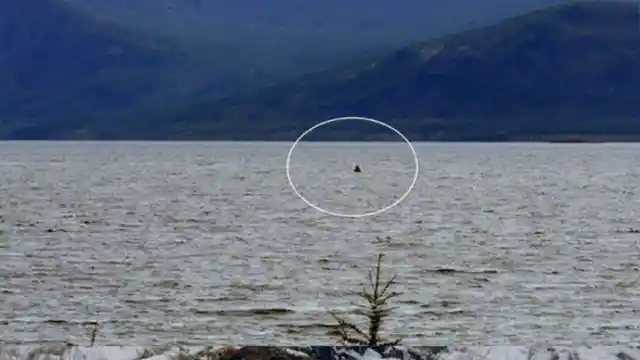 Skeleton Of Strange Creature Discovered In Russian Lake