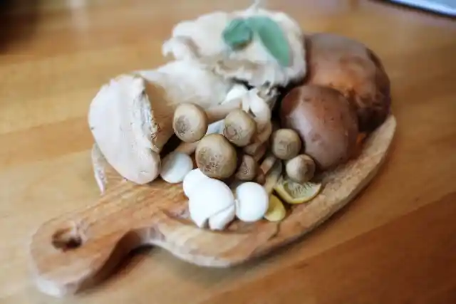 Fungi Fever: 12 Best Edible Mushrooms and How to Use Them