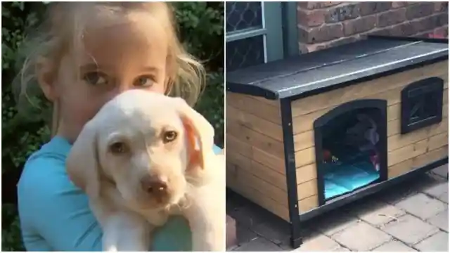 Three Days After Thieves Stole A Little Girl&#8217;s Puppy The Family Found Something Moving Next To A Kennel