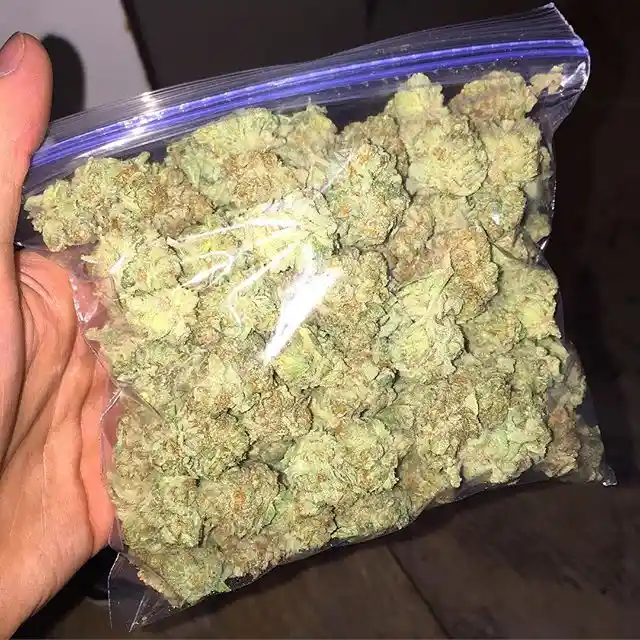 A Ton of Marijuana