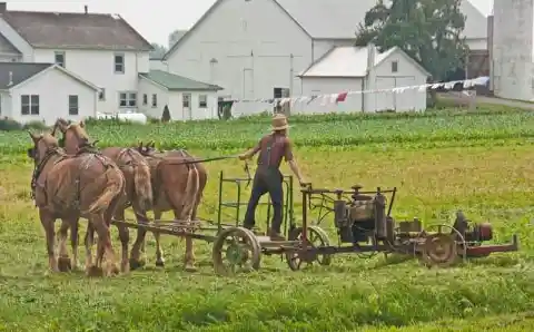 Obesity is Rare in the Amish Communities