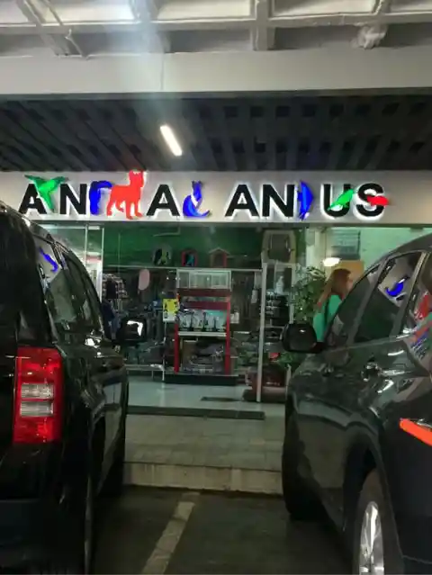 Animal What?
