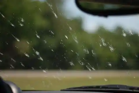 36. Bugs on the Windshield? Use a Dryer Sheet!