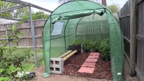 10 DIY Greenhouse Ideas And How To Build One