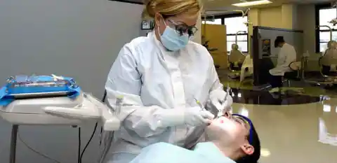 The In-School Dental Program