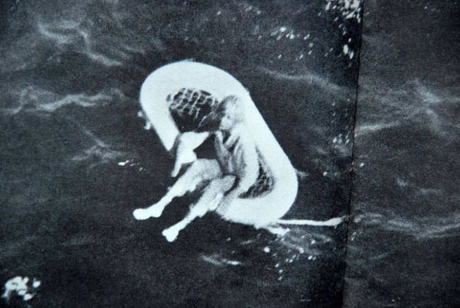 In 1961 This Little Girl Was Found Adrift At Sea. Decades Later She Revealed The Horrifying Truth